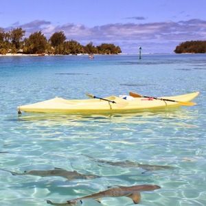 Meet your Posher, Sean